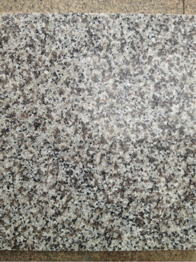 G623
